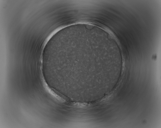 X0000114590955200911161328