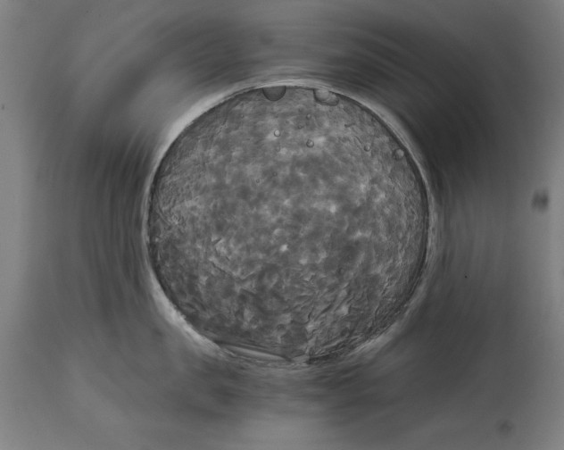 X0000114590957200911161328