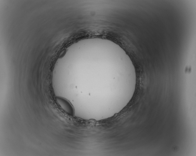 X0000114590961200911161328