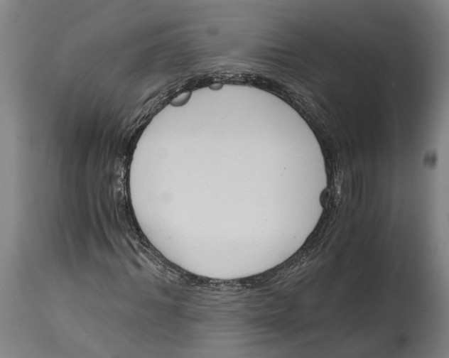 X0000114590964200911161328