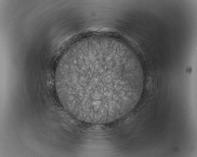 X0000114590966200911161328