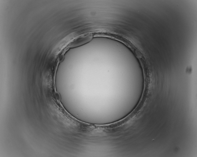 X0000114590969200911161327