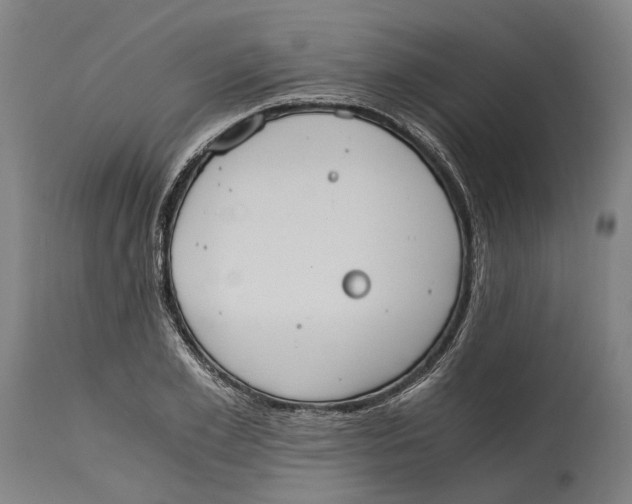 X0000114590981200911161327