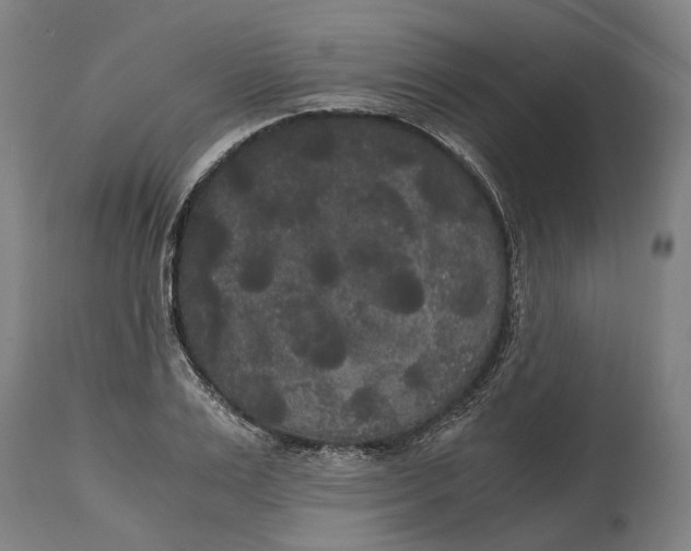 X0000114590983200911161327