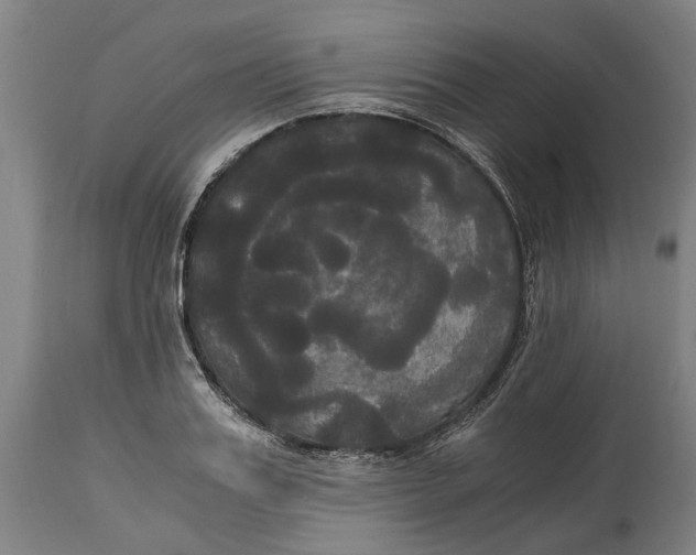 X0000114590987200911161327