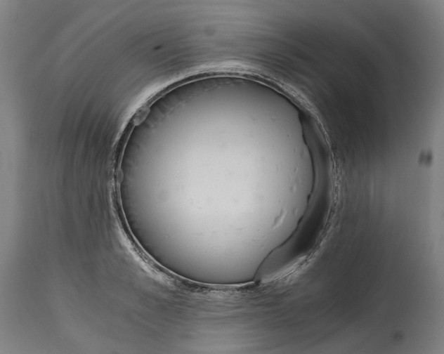 X0000114590989200911161327