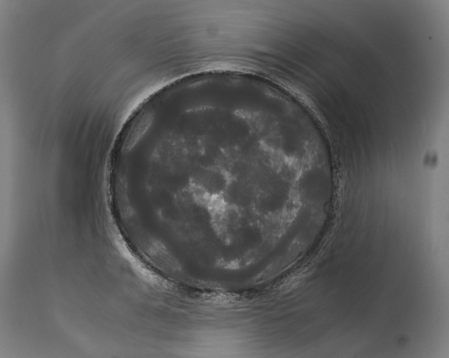 X0000114590991200911161327