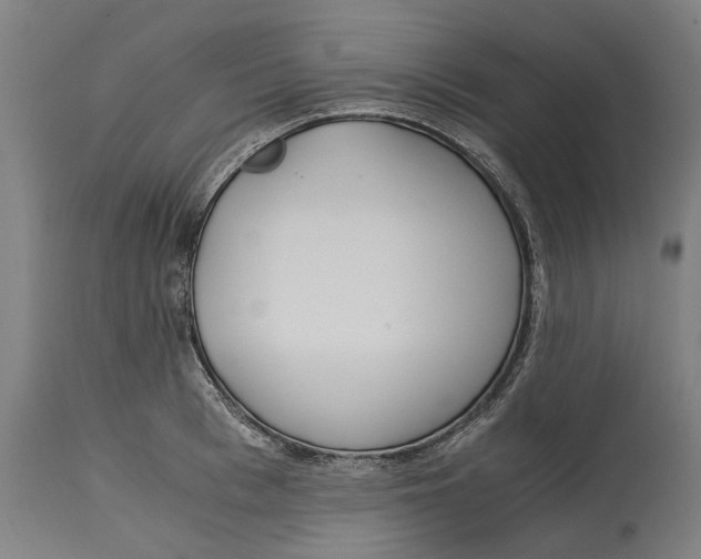 X0000114590993200911161327