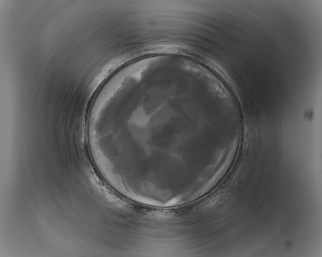 X0000114590994200911161327