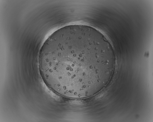 X0000114590998200911161327