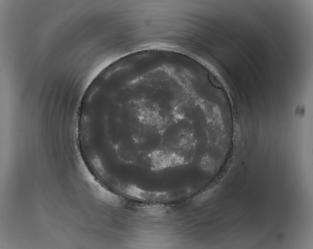 X0000114590999200911161327