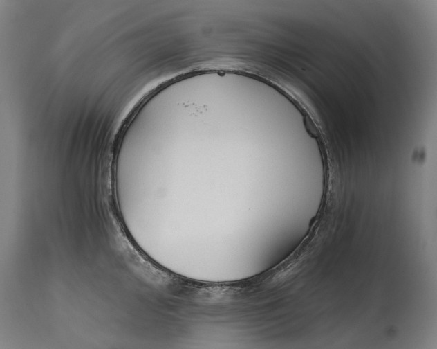 X0000114591000200911161327