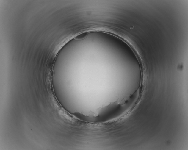 X0000114591001200911161327