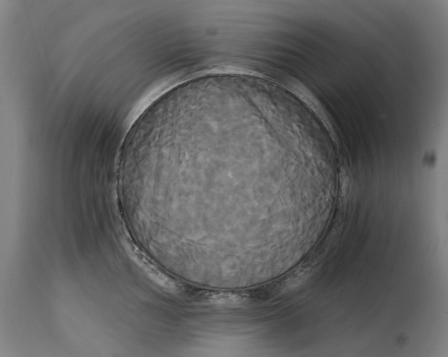 X0000114591002200911161327