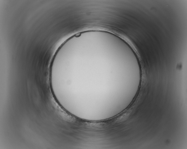 X0000114591004200911161327