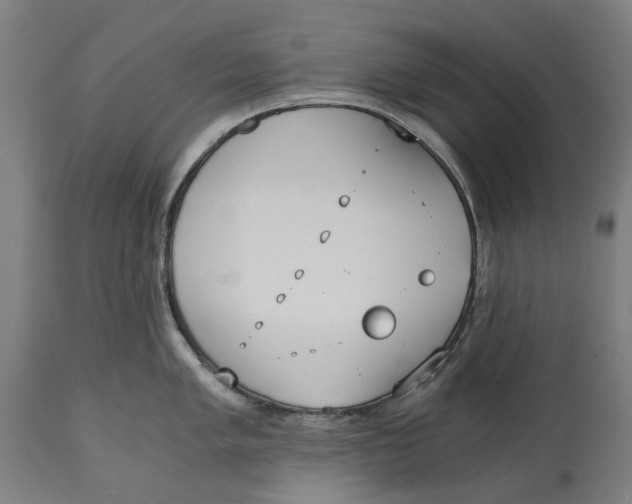 X0000114591005200911161327