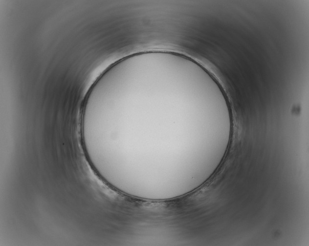 X0000114591006200911161327