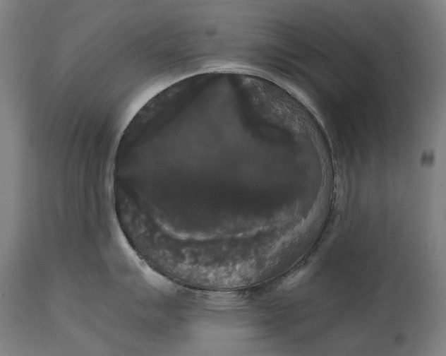 X0000114591007200911161327