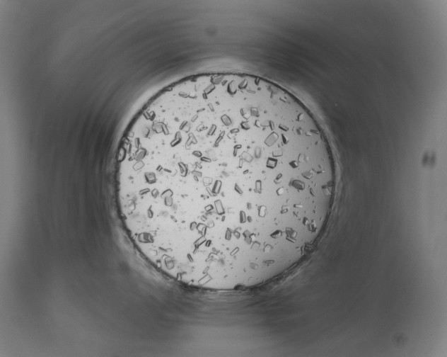 X0000114591008200911161327