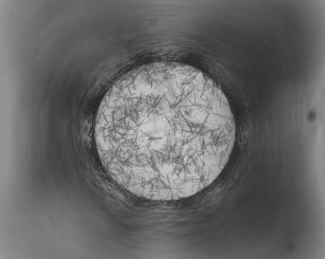 X0000114591010200911161326