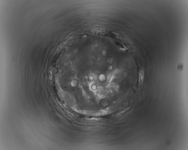 X0000114591011200911161326