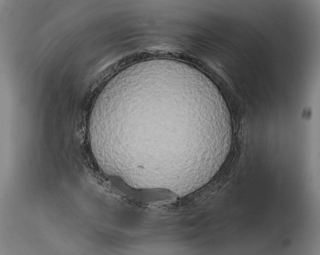 X0000114591015200911161326