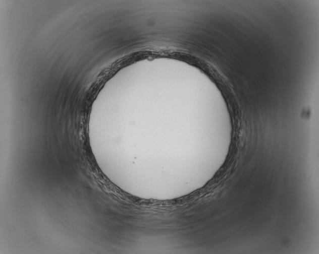 X0000114591016200911161326