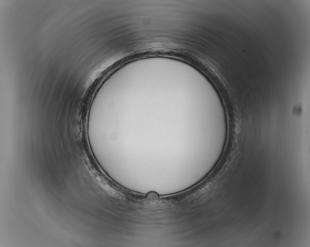 X0000114591018200911161326