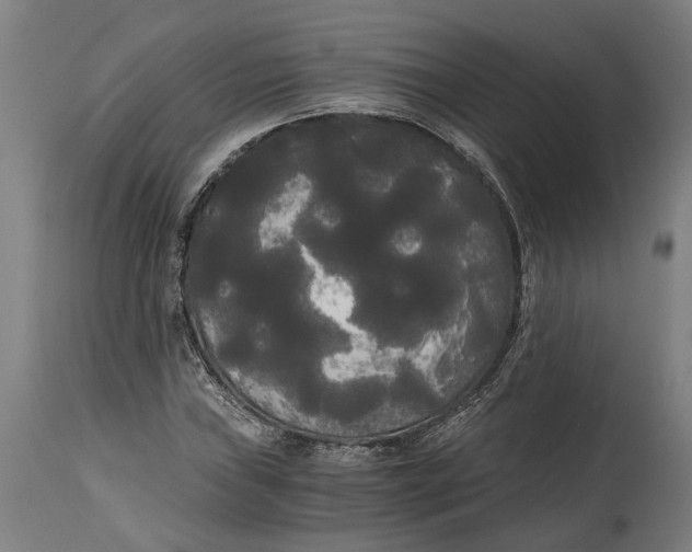 X0000114591019200911161326