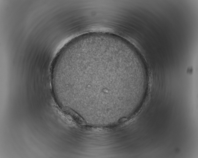 X0000114591022200911161326