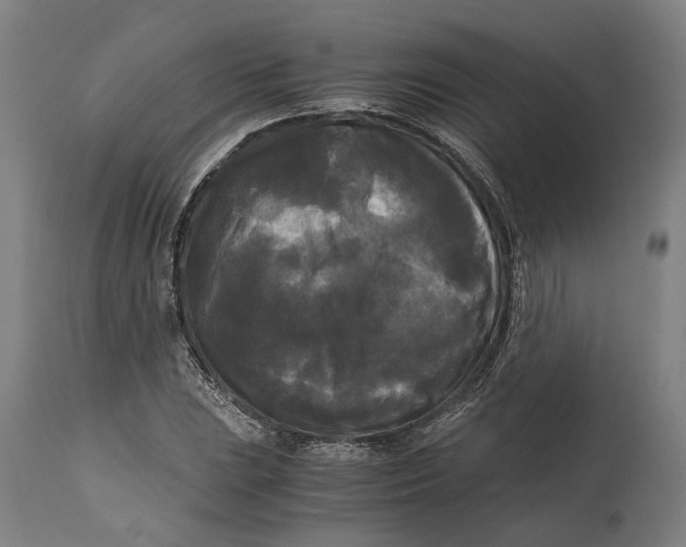 X0000114591023200911161326