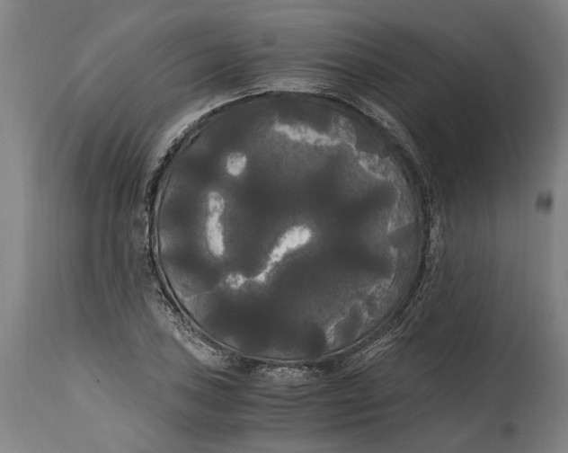 X0000114591027200911161327