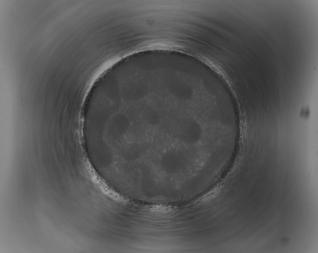 X0000114591029200911161327