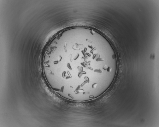 X0000114591030200911161327