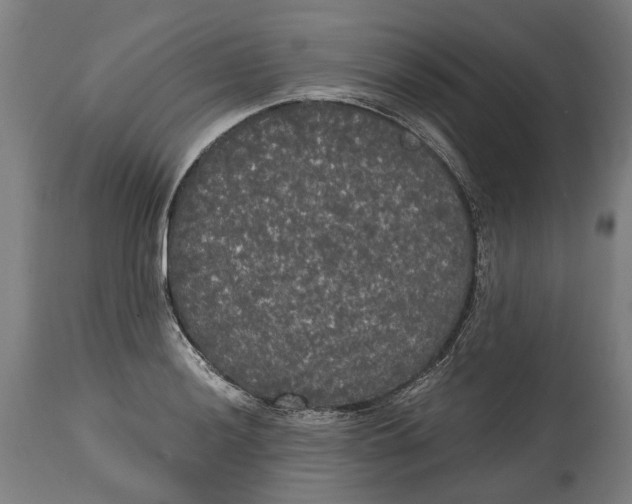 X0000114591036200911161327