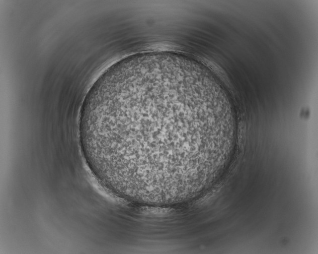 X0000114591039200911161327