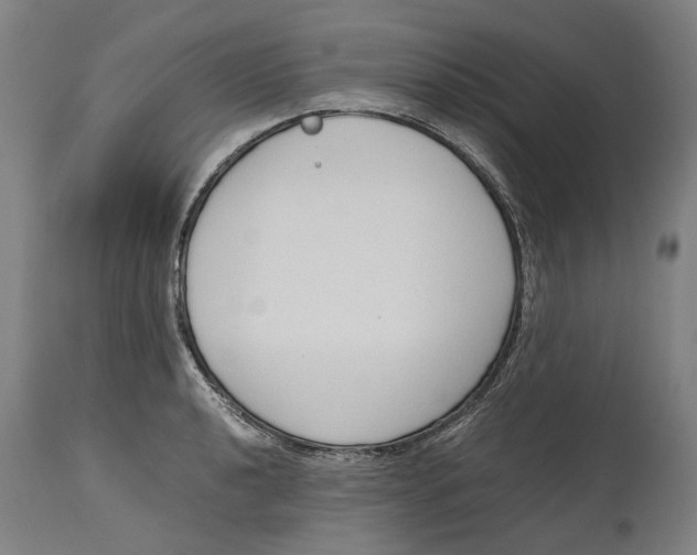 X0000114591040200911161327