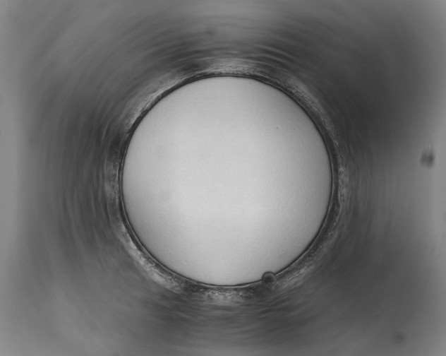 X0000114591041200911161327