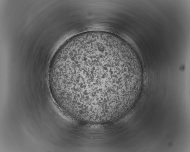 X0000114591043200911161327