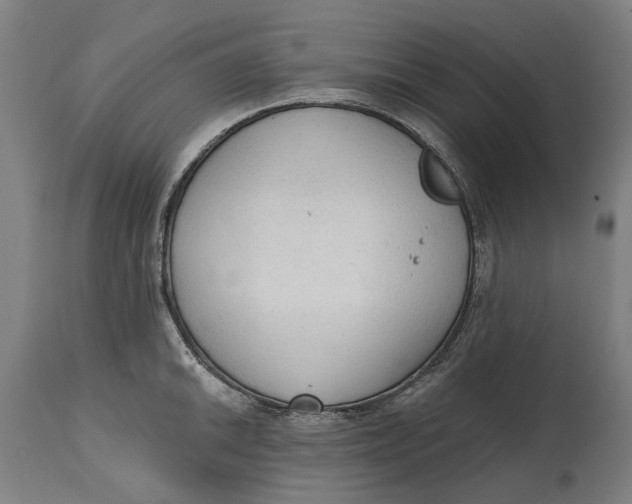 X0000114591046200911161327