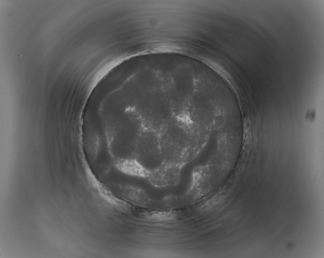 X0000114591047200911161327