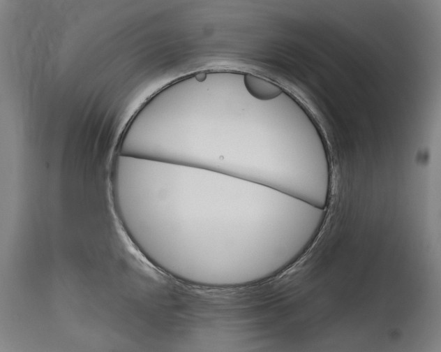 X0000114591048200911161327