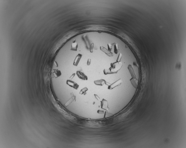 X0000114591049200911161327