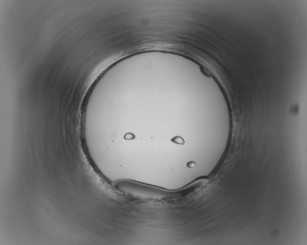 X0000114591050200911161327