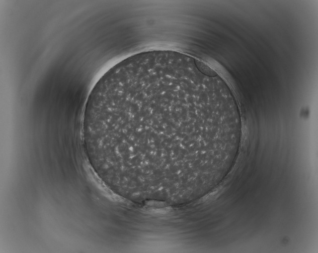 X0000114591052200911161327