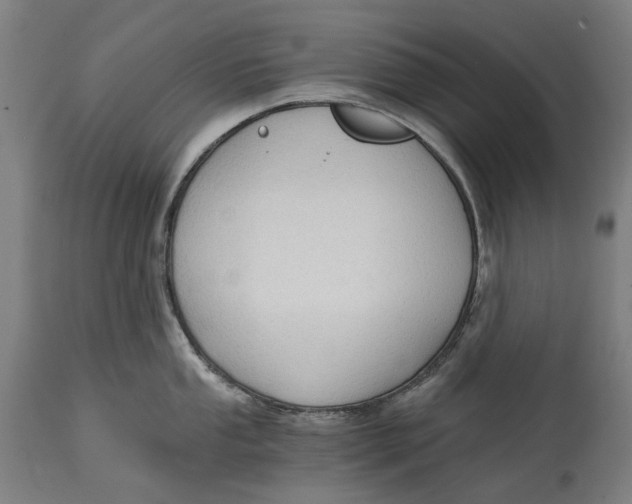 X0000114591053200911161327