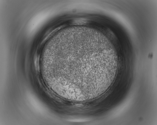 X0000114591054200911161327