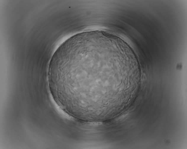 X0000114591055200911161327