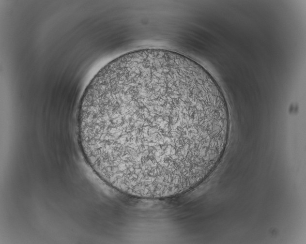 X0000114591056200911161327