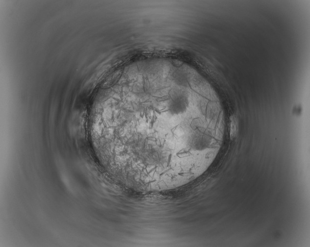 X0000114591059200911161326